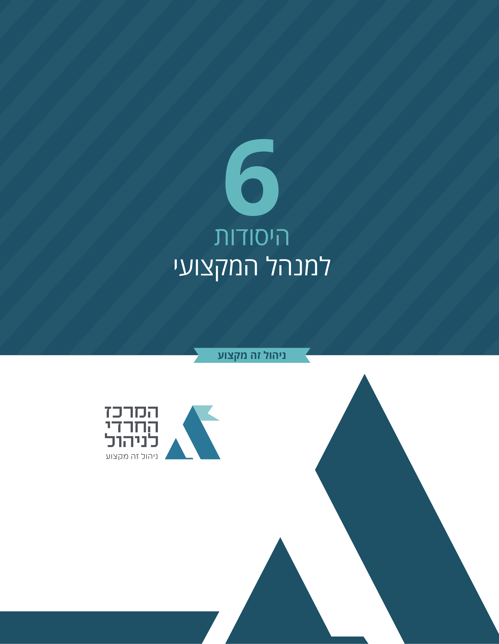 היסודות למנהל המקצועי